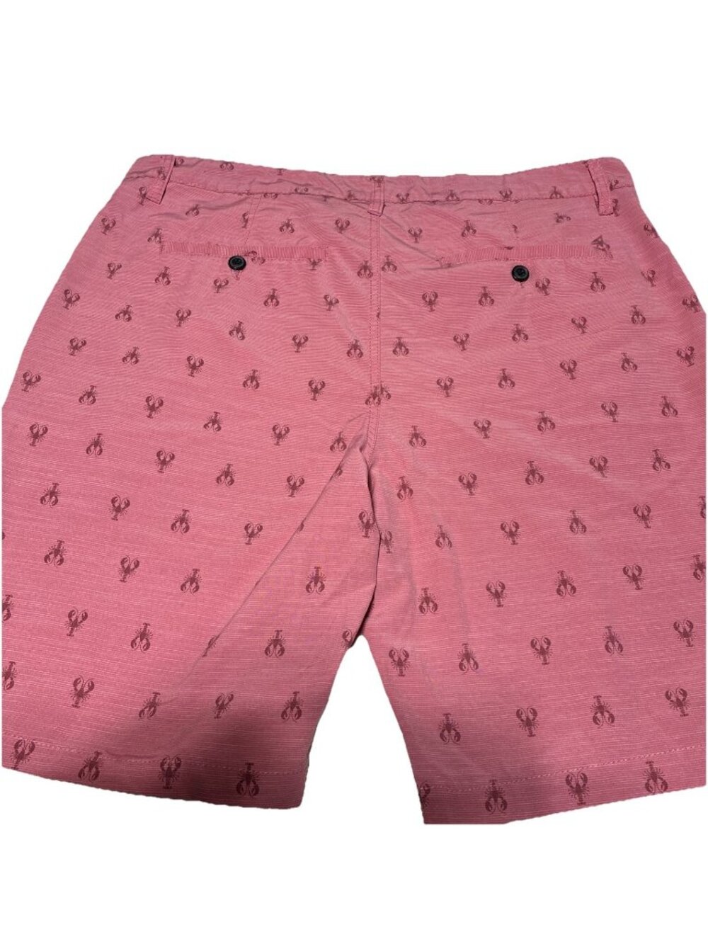 Mens 38 Is Hybrid Shorts Lobster Embroidered Flat Front Beach Pockets Atlantis